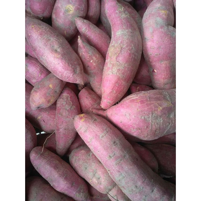 ce91f239e36241f9d02ae7fc9f6ae986