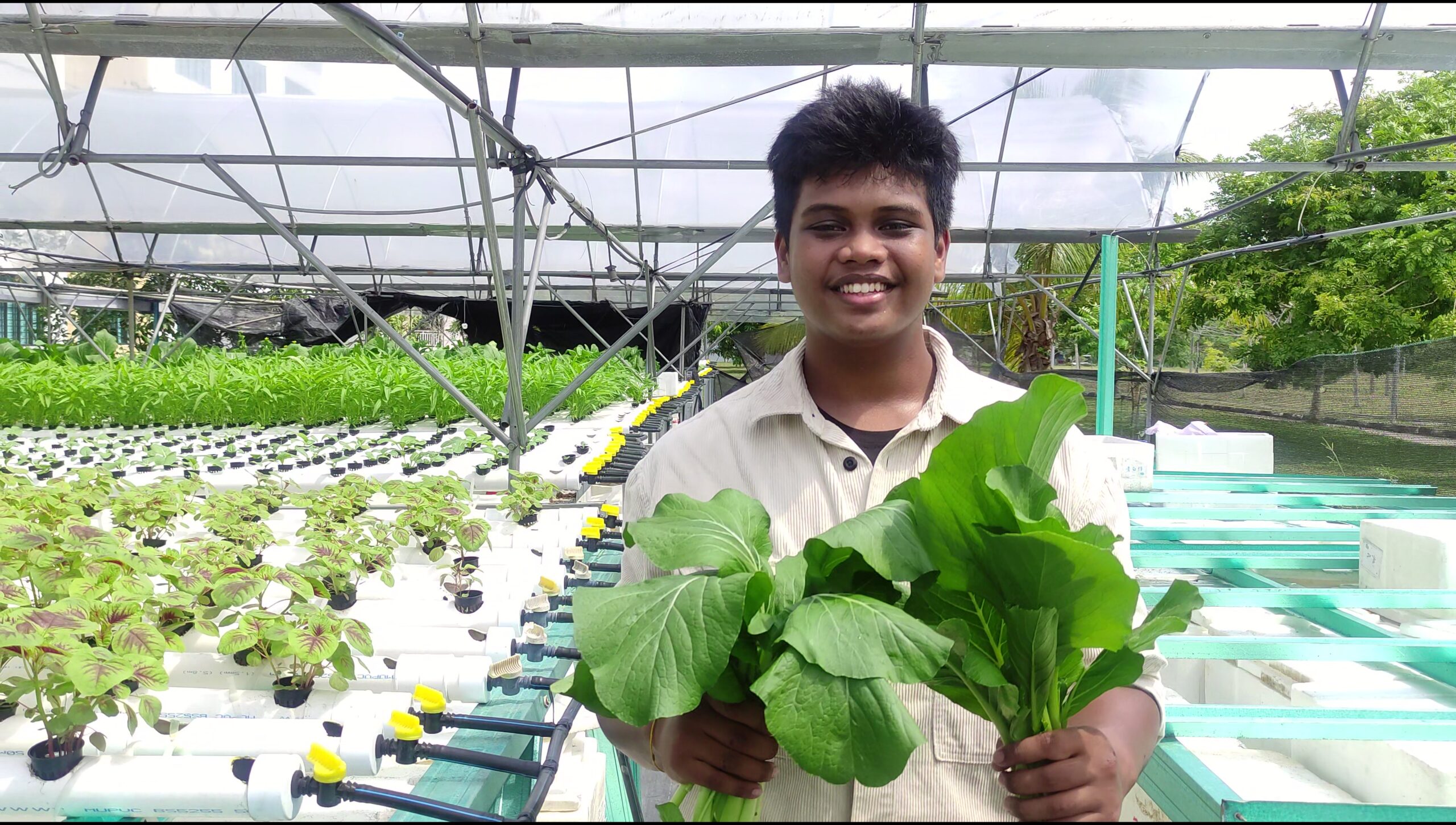 Naveen’s Hydroponic Farming Dream