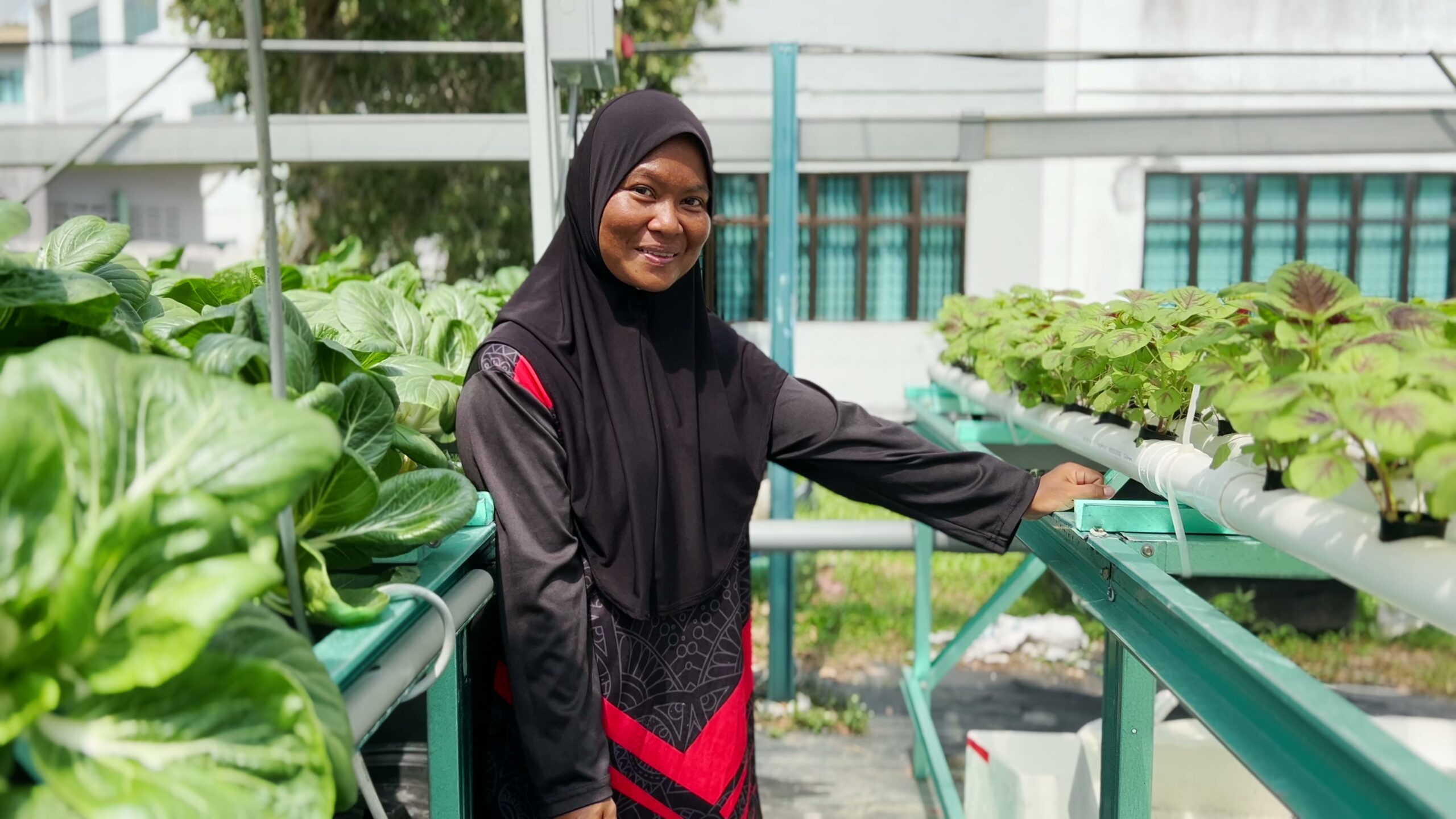 Help Puan Nurul Grow a Hydroponic Farm on Tioman Island