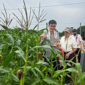 Mr Jagung Merah – Rent a farm  Individual / Family package (Experience)