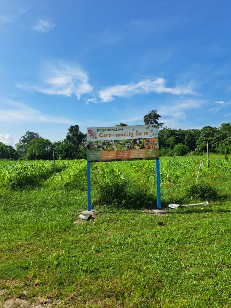 Mr Jagung Merah - Rent a farm Individual / Family package (Experience) - Image 2