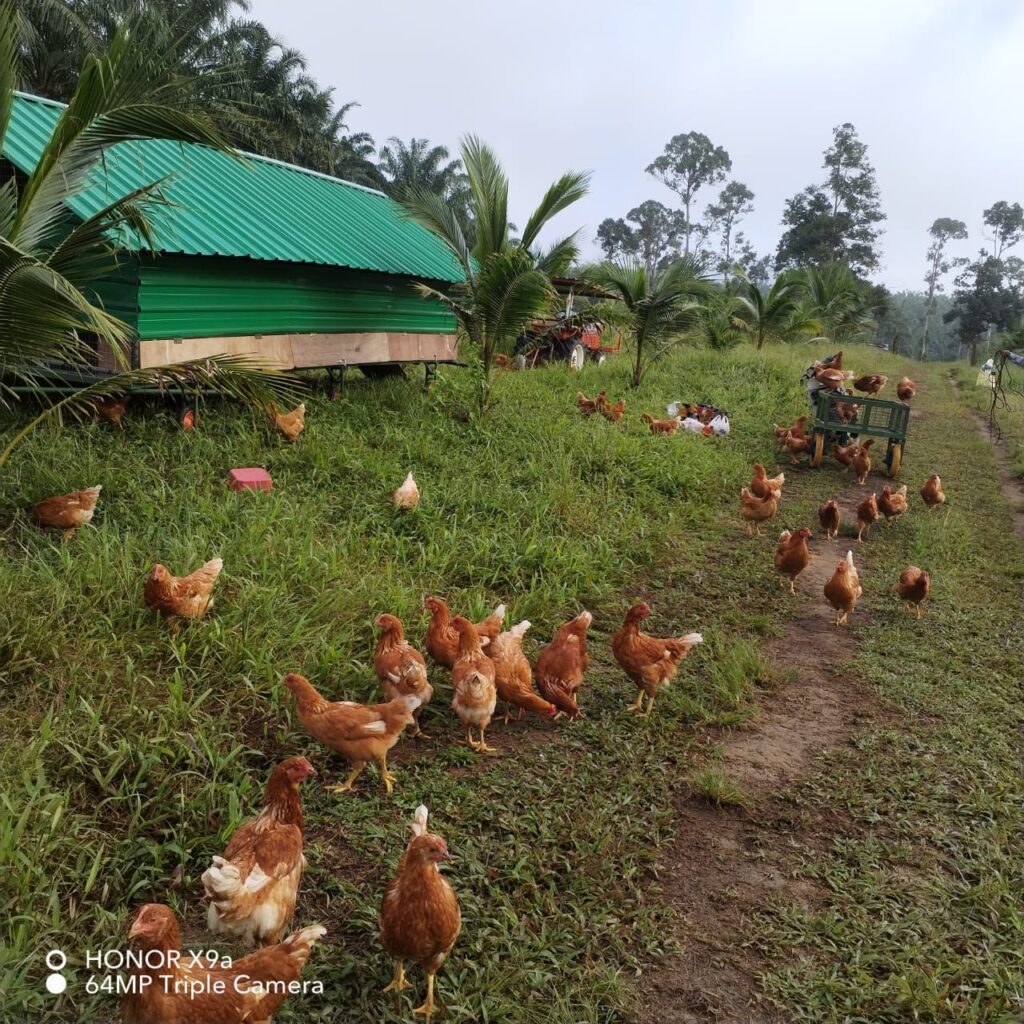 488568100_1324350092088129_6688249454923885446_n