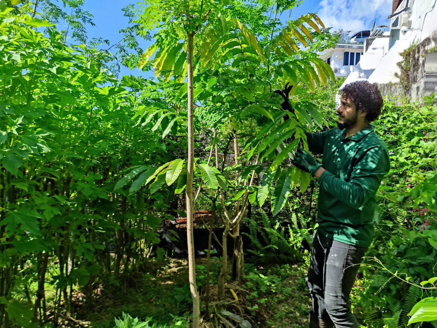 495176991_10162951182951635_3339132251357868113_n