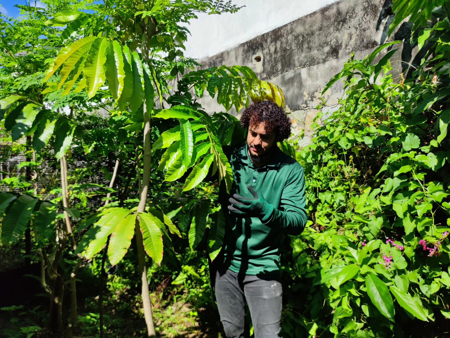 495184023_10162951182931635_8571961324391633048_n