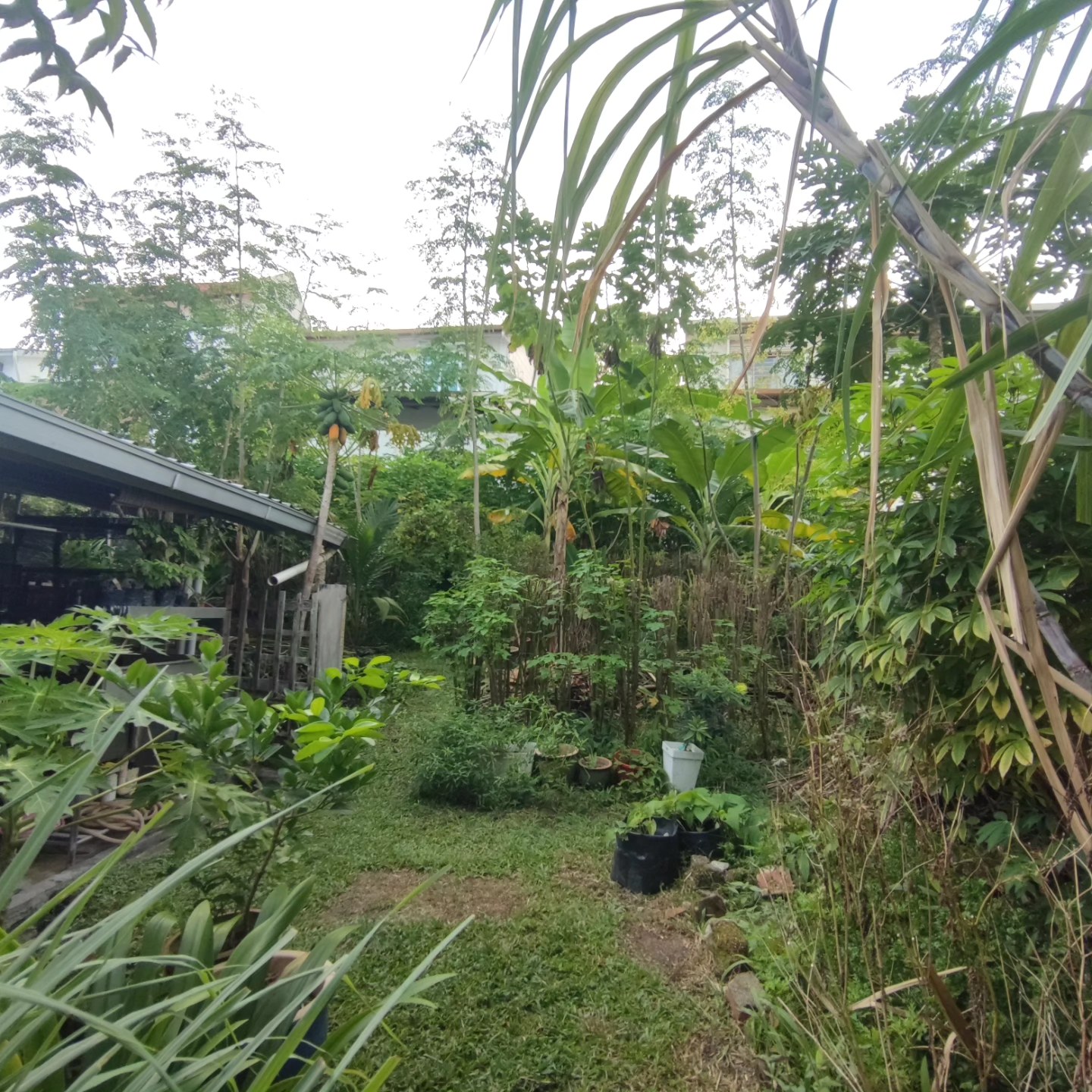 559171057_10163845478916635_2854126464777015289_n