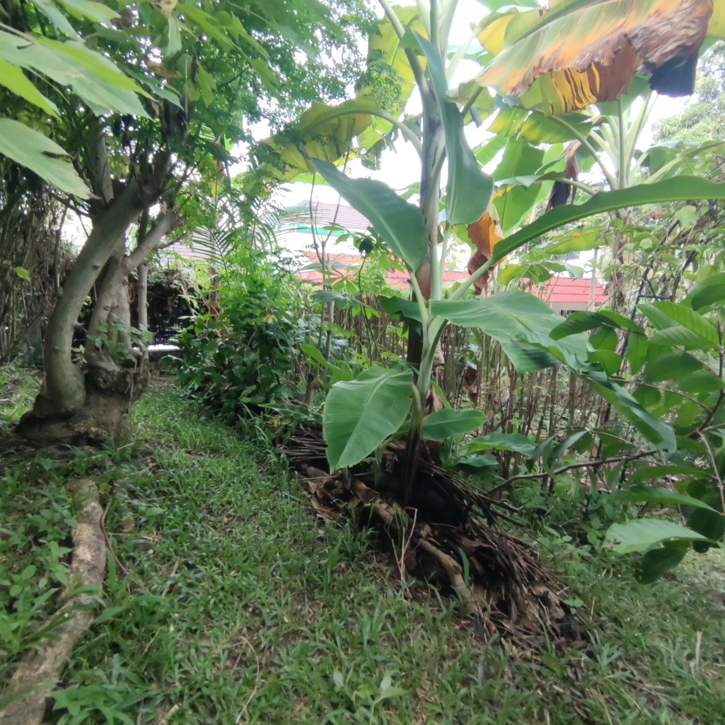 571115728_10163845478846635_3645430991206396179_n