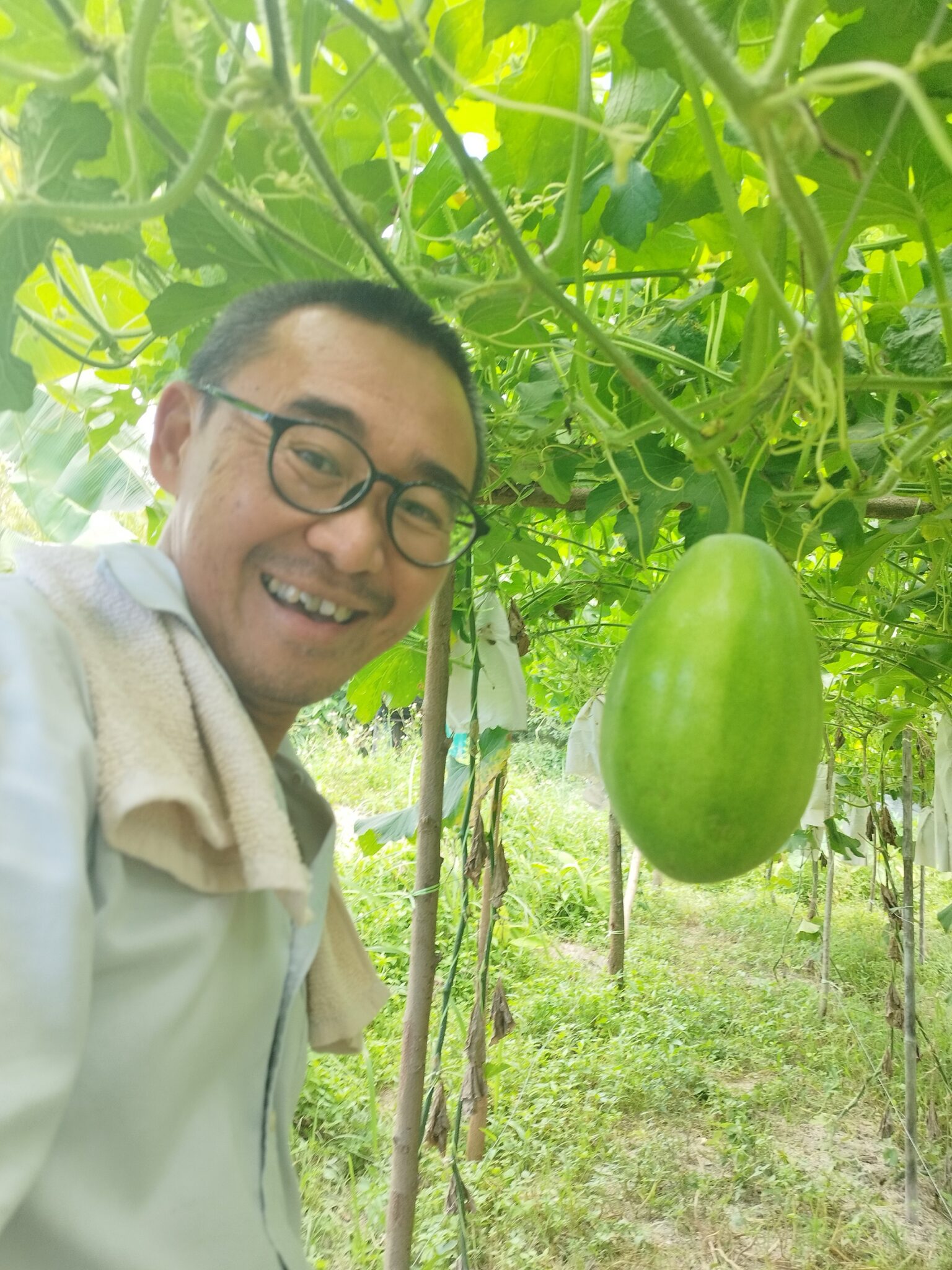 mr tung with wintermelon