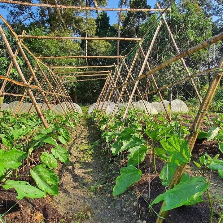 farm photo 3