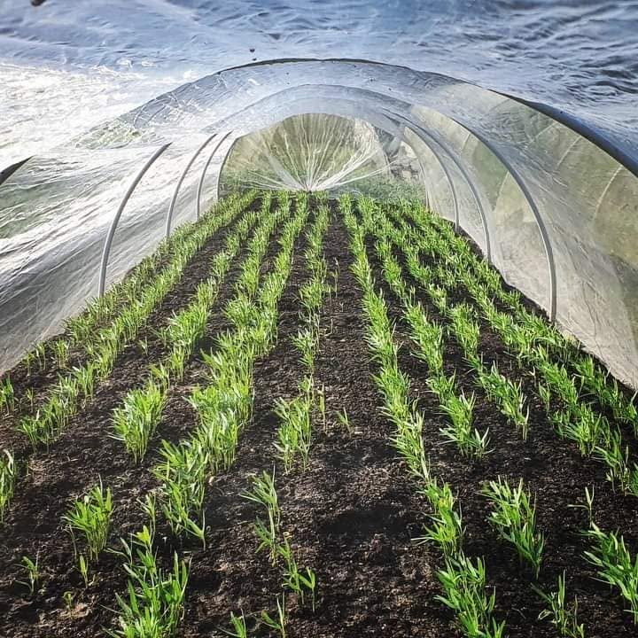 farm photo