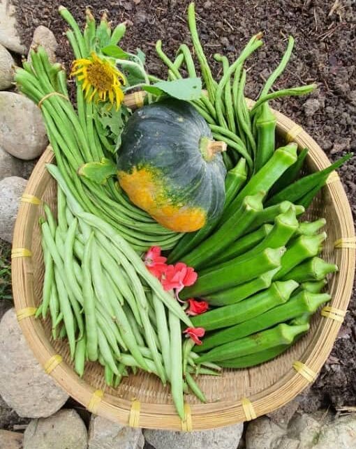 produce photo