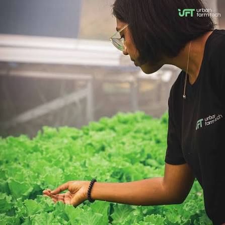 urban farm tech farm